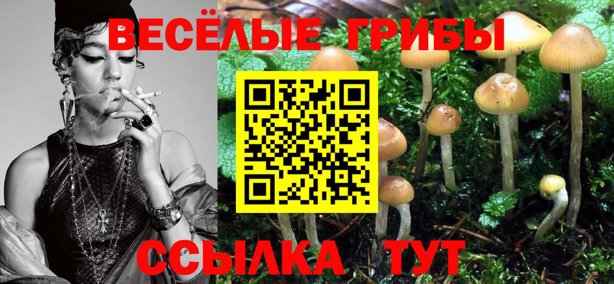 Псилоцибиновые грибы GOLDEN TEACHER  Вход с VPN  Будённовск  Псилоцибиновые грибы мицелий 