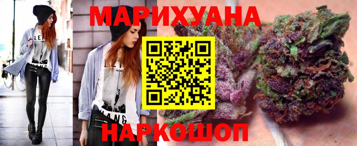 Канабис конопля Будённовск